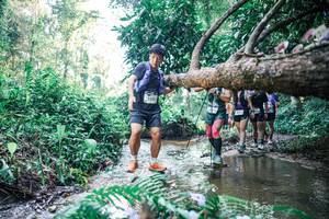 BIB: 
                            <button type="button" onclick="openModal(25444199)" class="btn btn-primary btn-sm float-right btn-popup" data-toggle="modal" data-target=".modal-high-quality">
                        <i class="fas fa-shopping-cart"></i> Add to Cart
                    </button>
                                            <button type="button" onclick="isThisMe(25444199, true)" class="btn btn-success btn-sm float-right btn-popup btn-isme hidden" data-toggle="tooltip" data-placement="bottom" title="นี่คือรูปของคุณใช่ไหม คลิกที่นี่เพื่อเอาเข้าอัลบั้ม">
                        <i class="fas fa-plus"></i> Add to album
                    </button>
                    <button type="button" onclick="isThisMe(25444199, false)" class="btn btn-warning btn-sm float-right btn-popup btn-isnotme hidden">
                        <i class="fas fa-ban"></i> Remove from album
                    </button>